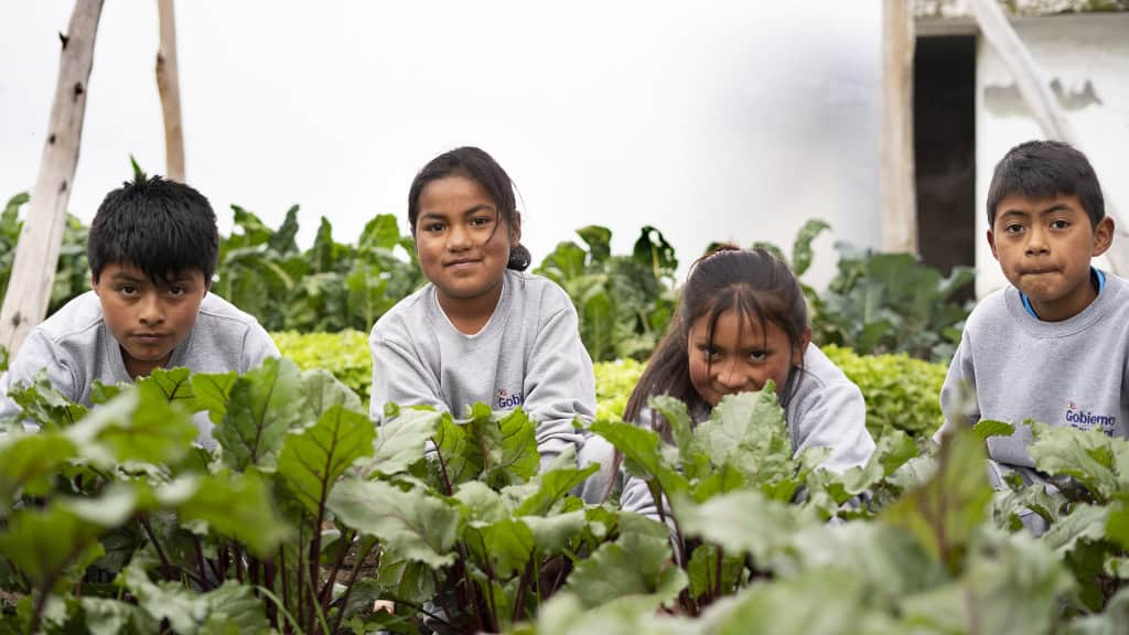 Niños y niñas huerto